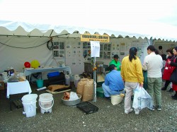 20hyogo_eco_festival.jpg