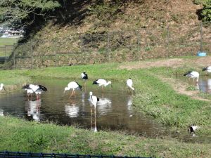 20151016岡田2.jpg