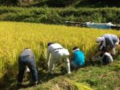 地産地消でつながる