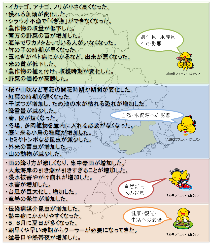 神戸意見.png