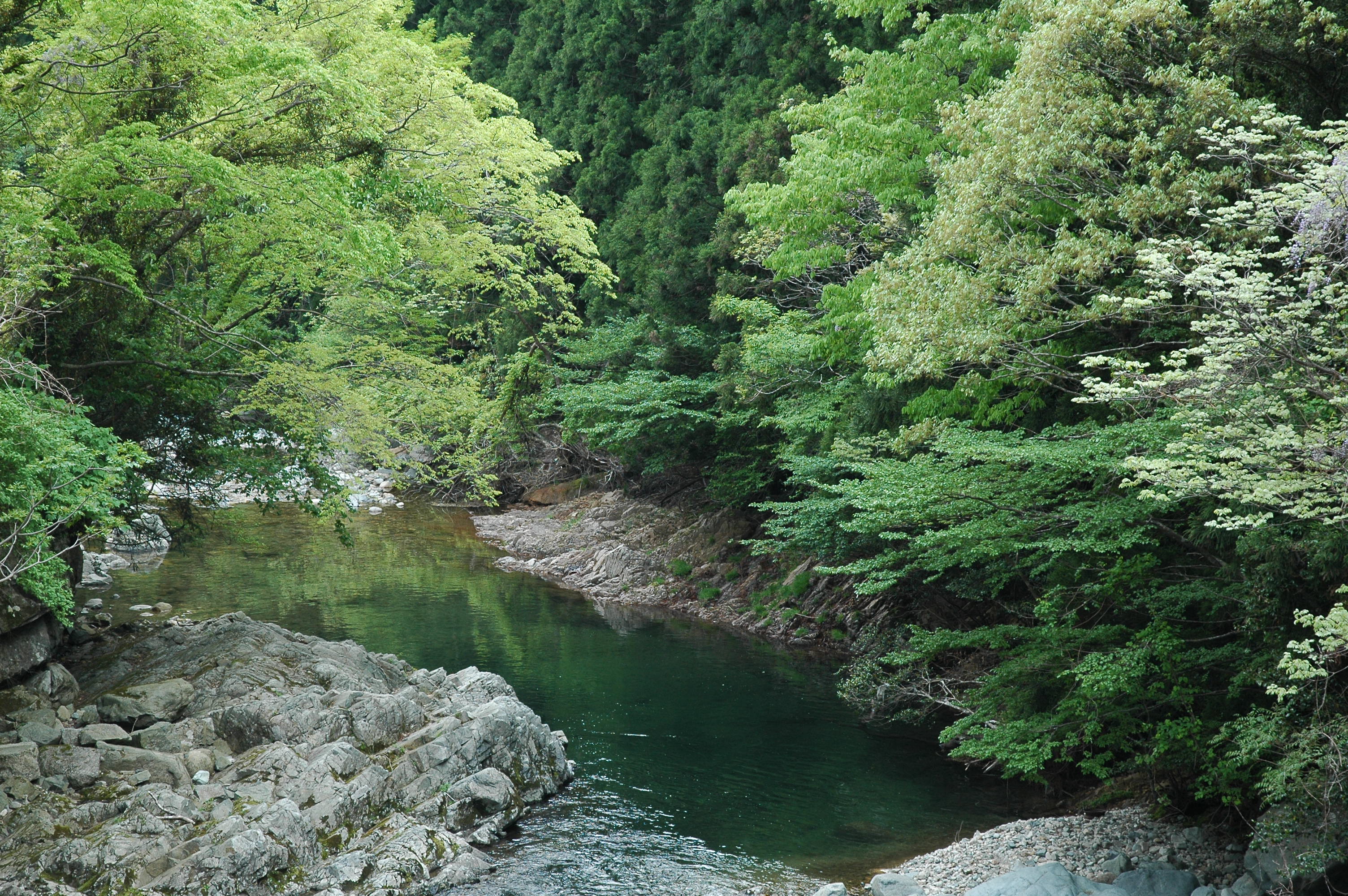 千種川千種.JPG