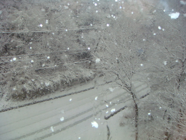 201226雪景色 017.jpg